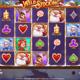 Wild Stocking screenshot