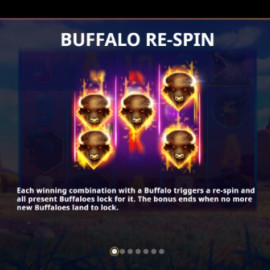 Buffalo Respin screenshot