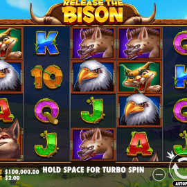 Release the Bison screenshot