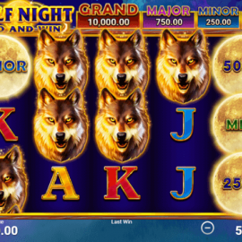 Wolf Night screenshot