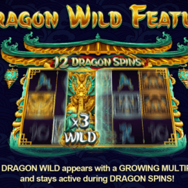 Dragon King Legend Of The Seas screenshot