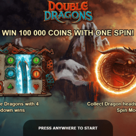 Double Dragons screenshot