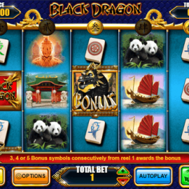 Black Dragon screenshot