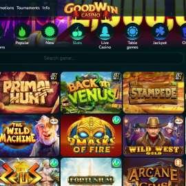 GoodWin Casino screenshot