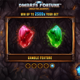 Dwarfs Fortune screenshot