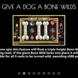 Doggie Diamonds screenshot