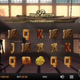 Ninja Master screenshot