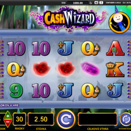 Cash Wizard screenshot