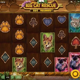 Big Cat Rescue Megaways screenshot
