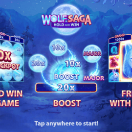 Wolf Saga: Hold and Win screenshot
