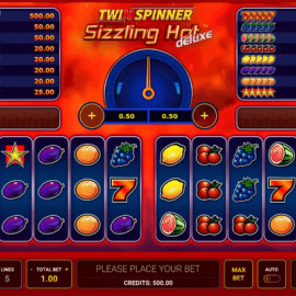 Twin Spinner Sizzling Hot Deluxe screenshot