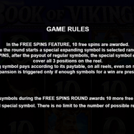 Book of Vikings screenshot