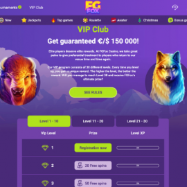Fgfox screenshot