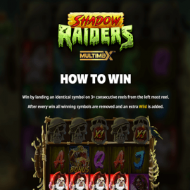 Shadow Raiders MultiMax screenshot