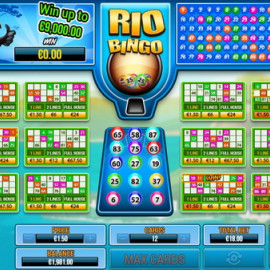 Rio Bingo screenshot