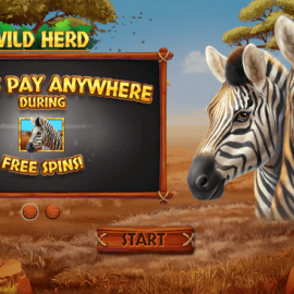 Wild Herd screenshot