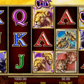 Cats screenshot