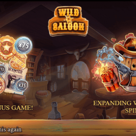 Wild Saloon screenshot