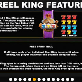 Reel King Megaways screenshot