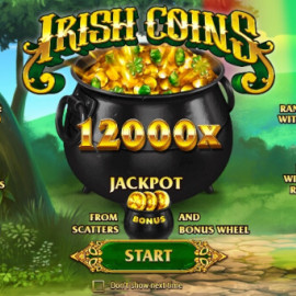 Irish Coins screenshot
