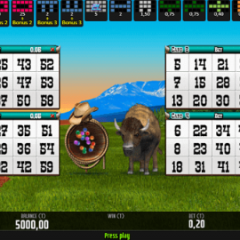 Buffalo Bingo screenshot