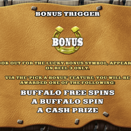 Buffalo Charge screenshot