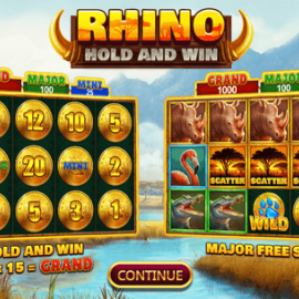 Rhino Hold and Win screenshot
