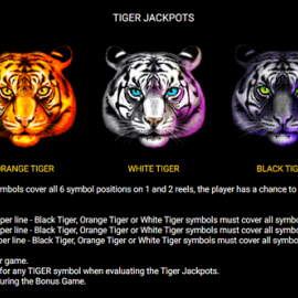 Chinese Tigers screenshot