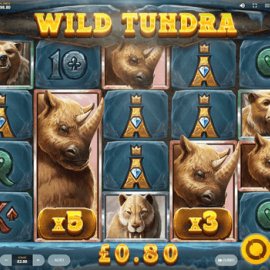 Wild Tundra screenshot