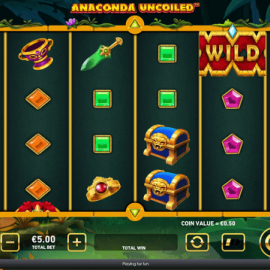 Anaconda Uncoiled screenshot