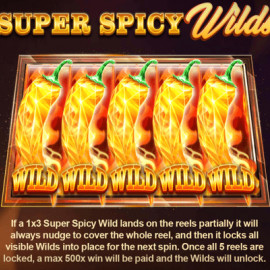 Wild Hot Chilli Reels screenshot