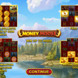 Money Moose screenshot
