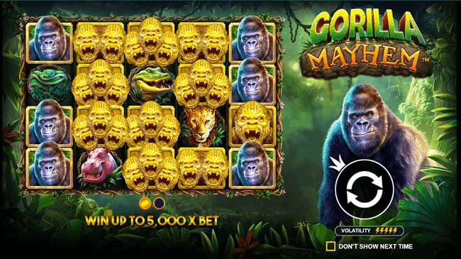 gorilla mayhem