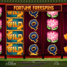 Fortune Freespins screenshot