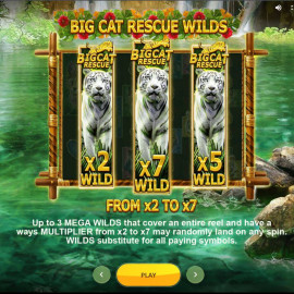 Big Cat Rescue Megaways screenshot