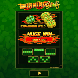 Burning Slot screenshot