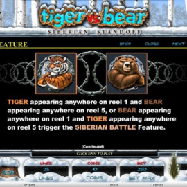 Tiger vs. Bear screenshot