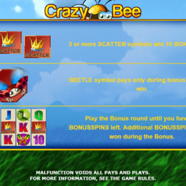 Crazy Bee screenshot