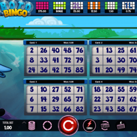 Boto Bingo screenshot