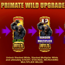 Primate King screenshot