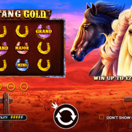 Mustang Gold screenshot