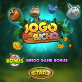Jogo do Bicho by BGaming Free Demo Play