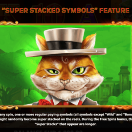 STACK-A-Cat screenshot