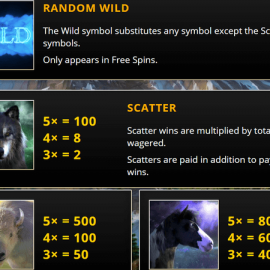 Spirit of the Wild screenshot