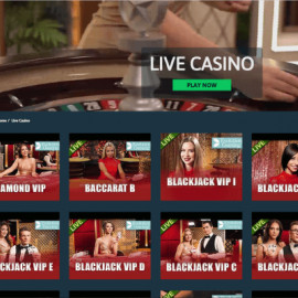 The Online Casino screenshot