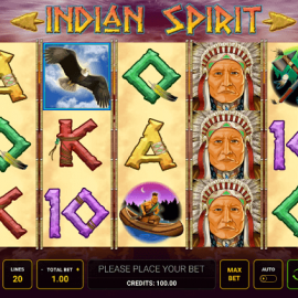 Indian Spirit screenshot