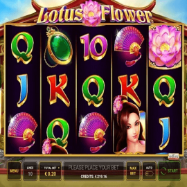 Lotus Flower screenshot