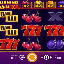 Burning Wins x2 screenshot