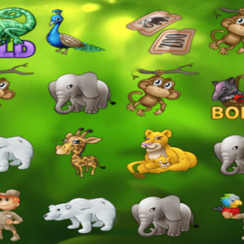 Zoo screenshot