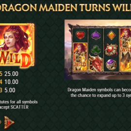Dragon Maiden screenshot